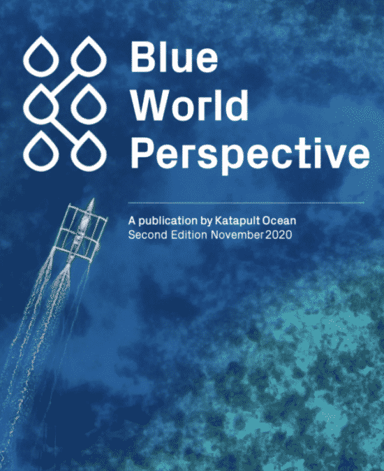 Blue World Perspective Publication