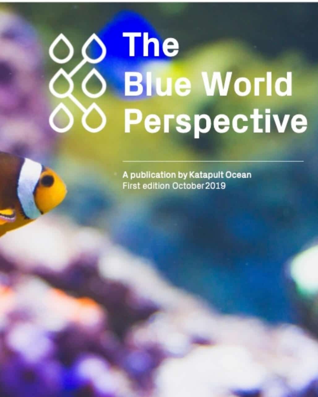 The Blue World Perspective