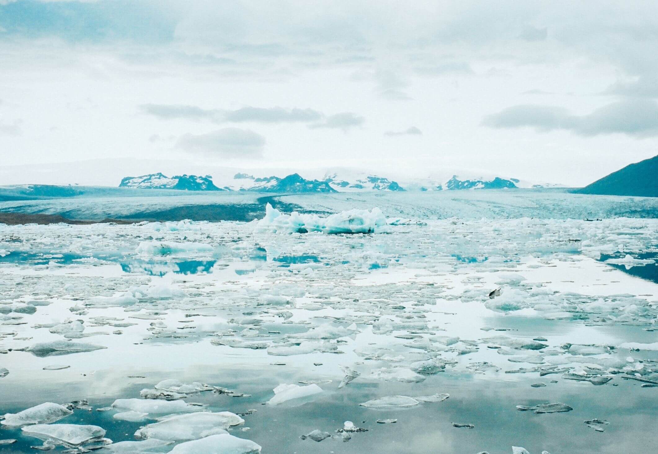 Arctic sheet ice