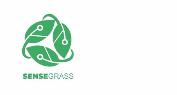 Sensegrass