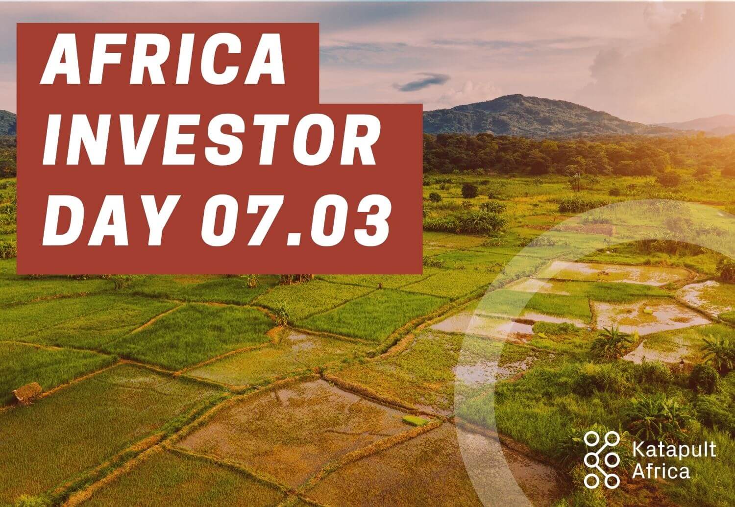 Africa Investor Day 07.03